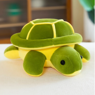 Turtle buddy
