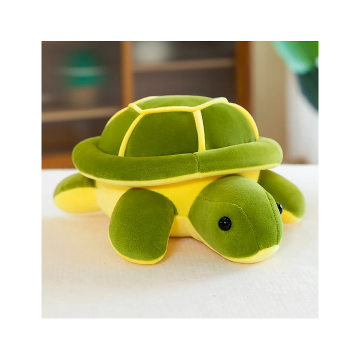Turtle buddy