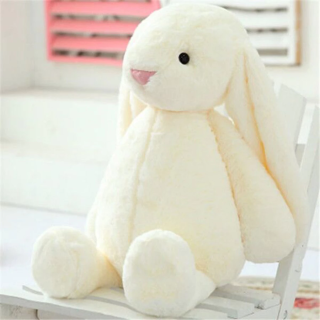 Cute bunny
